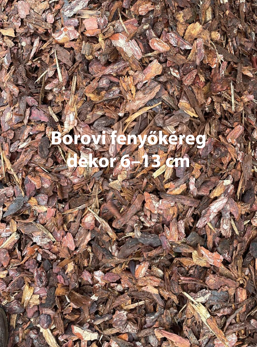 Borovifenyő-kéreg dekor 6–13 cm
